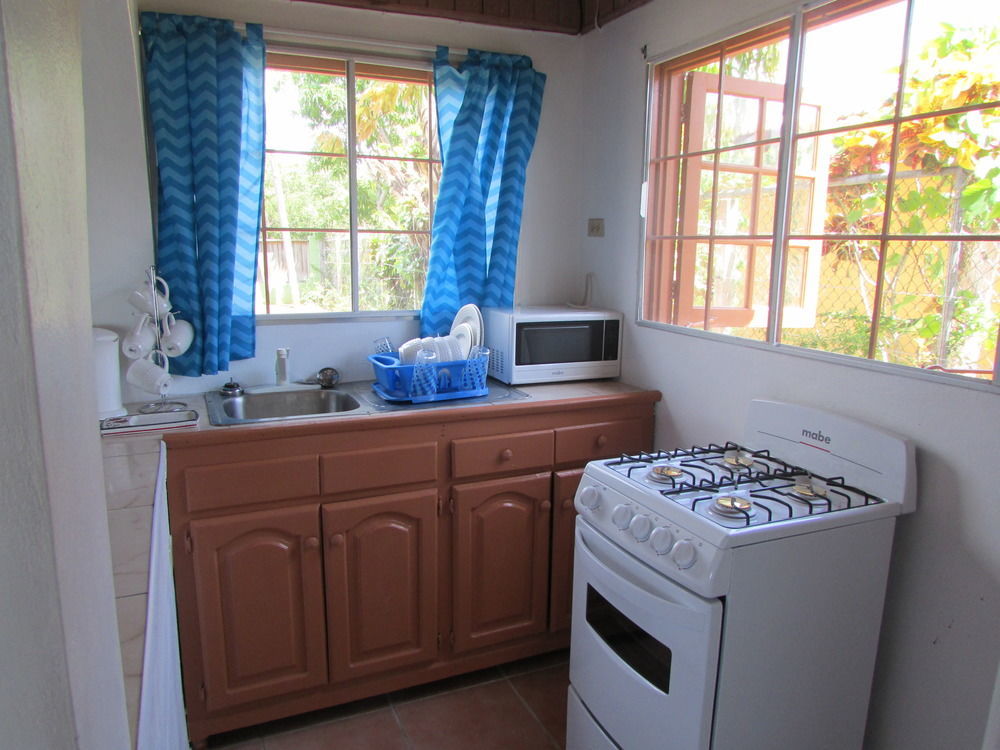 Ocho Rios Villa At Coolshade IV Saint Annʼs Bay المظهر الخارجي الصورة